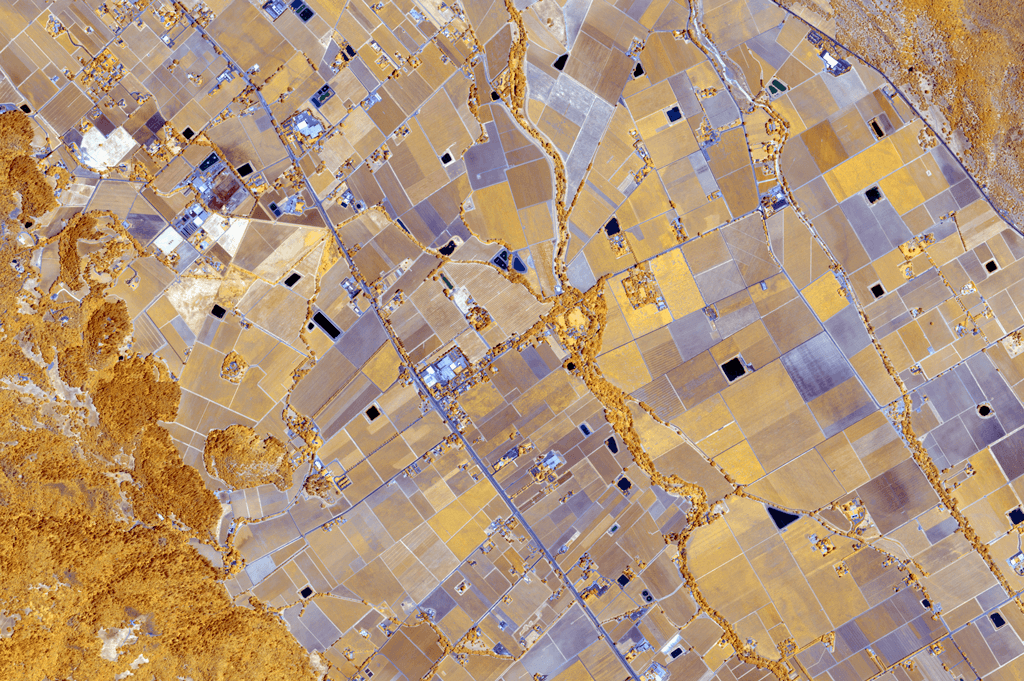 NDVI Index Time Series